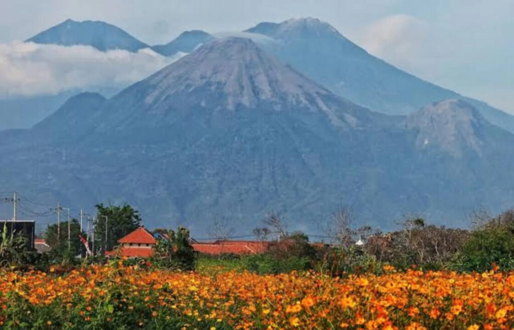 gunung arjuno