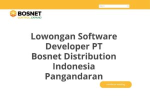 Lowongan Software Developer PT Bosnet Distribution Indonesia Pangandaran