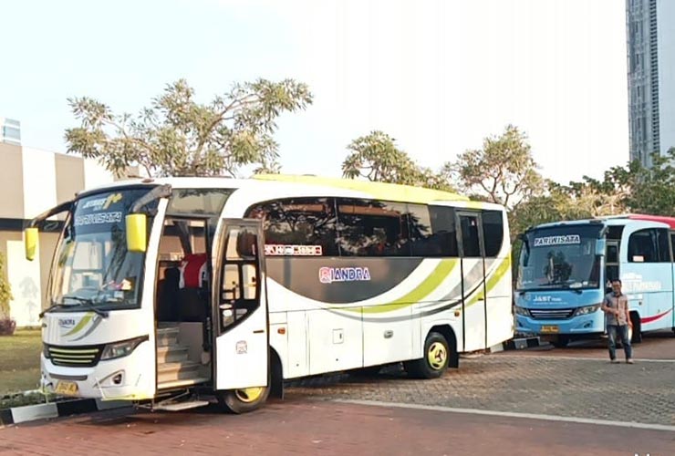 sewa bus medium