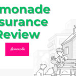 Lemonade Insurance